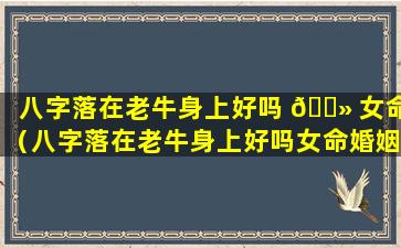 八字落在老牛身上好吗 🌻 女命（八字落在老牛身上好吗女命婚姻）